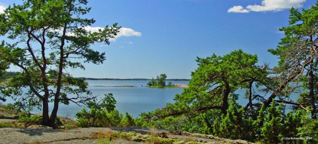 Yli 300 000 lahjoitusta Itämeren hyväksi