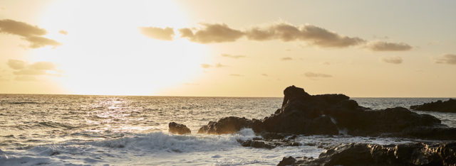 Kevätmuodin tärkein tyyli: kukat ja sporttiraidat